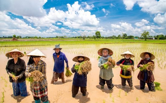 Organic Farmers